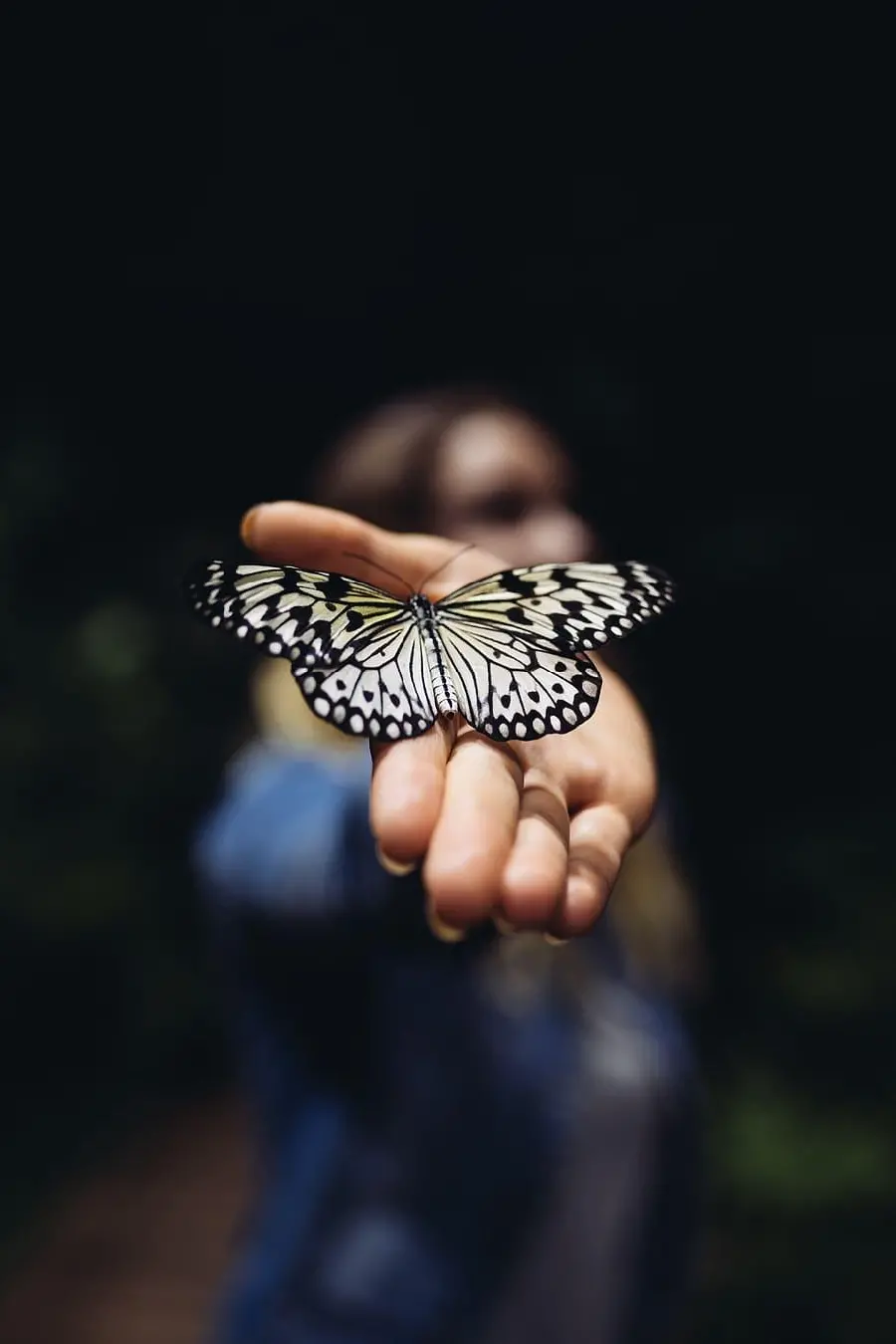 Beautiful butterfly in hand a sign of love for lovers with quality for profile wallpaper and background