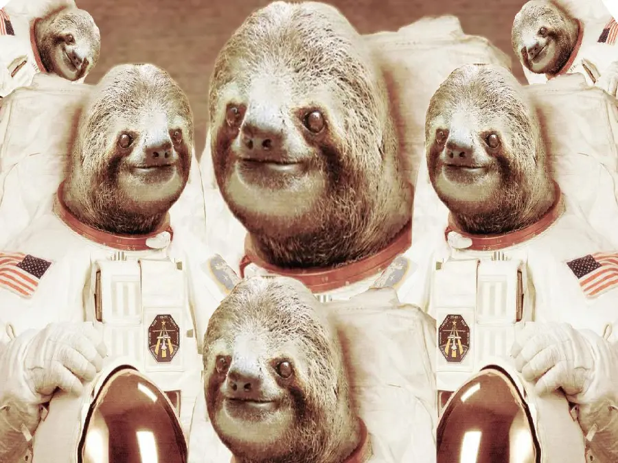 Strange and interesting image of sloth astronaut FULL HD