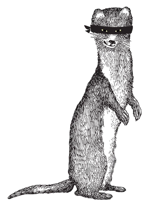 Otter Black and White Drawing Wallpaper PNG