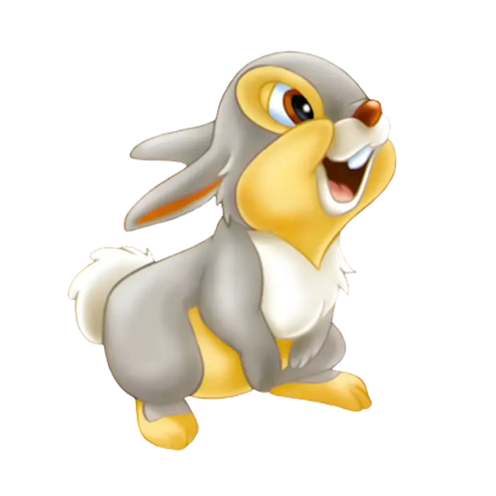 Cartoon rabbit PNG photo for social networks
