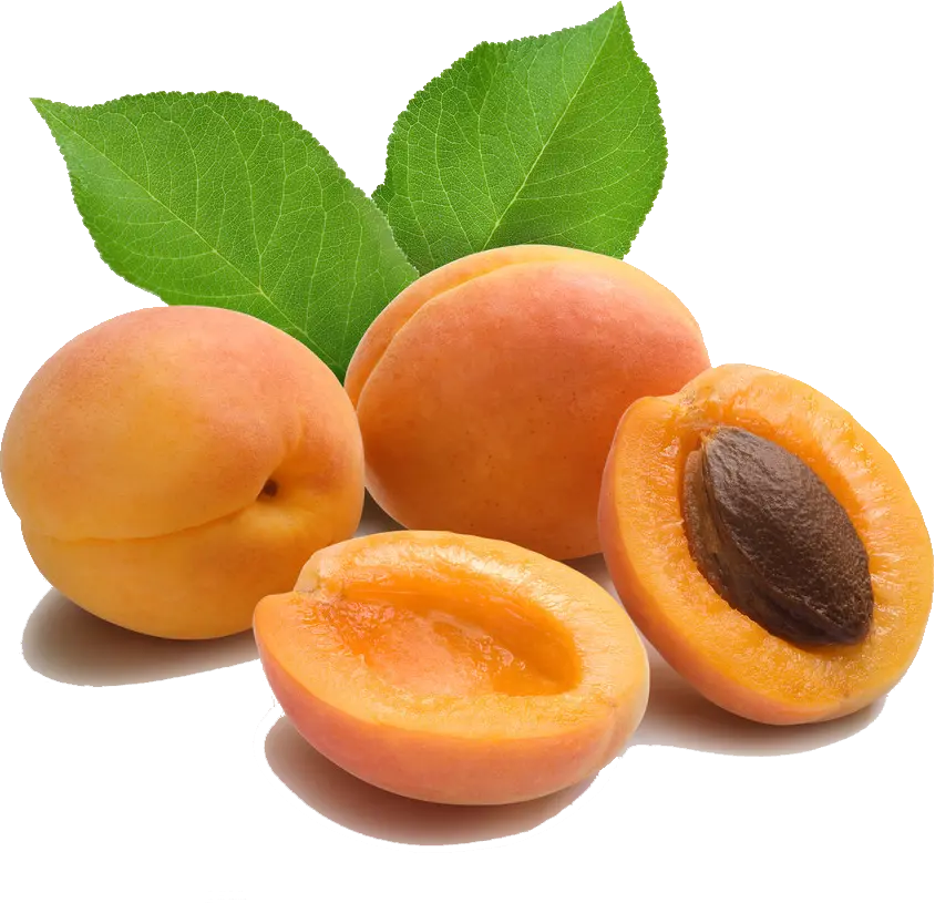 Yellow Plum