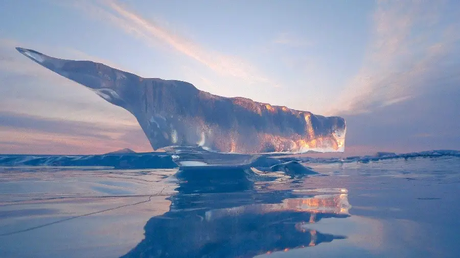 Ice Sculpture