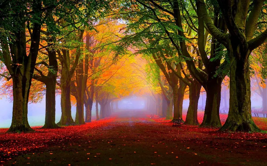 Autumn