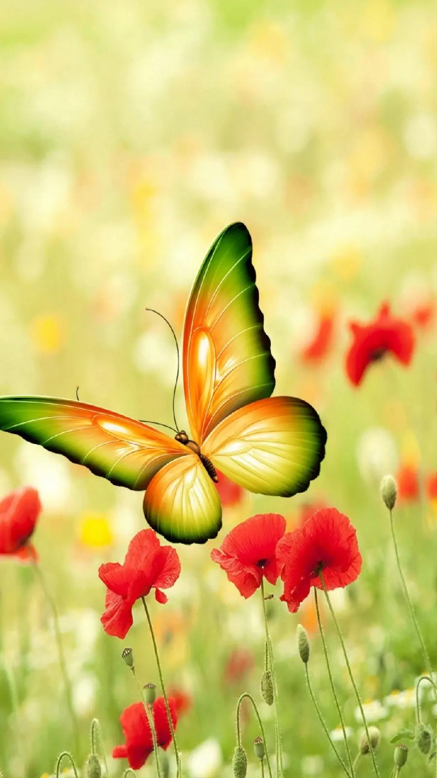 Full HD stock photo for iPhone with cute butterfly design