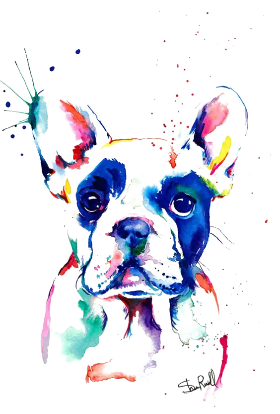 Artistic and interesting and high-quality drawing of a dog for design ideas