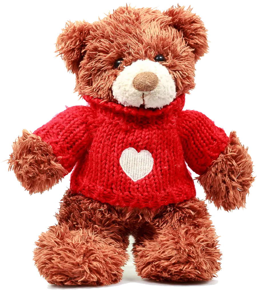 Valentine's Profile Picture of a Fluffy Teddy Bear PNG