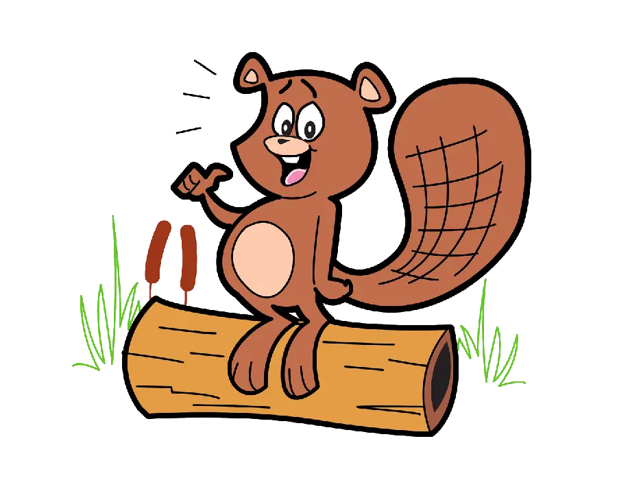 Download beaver photo without background