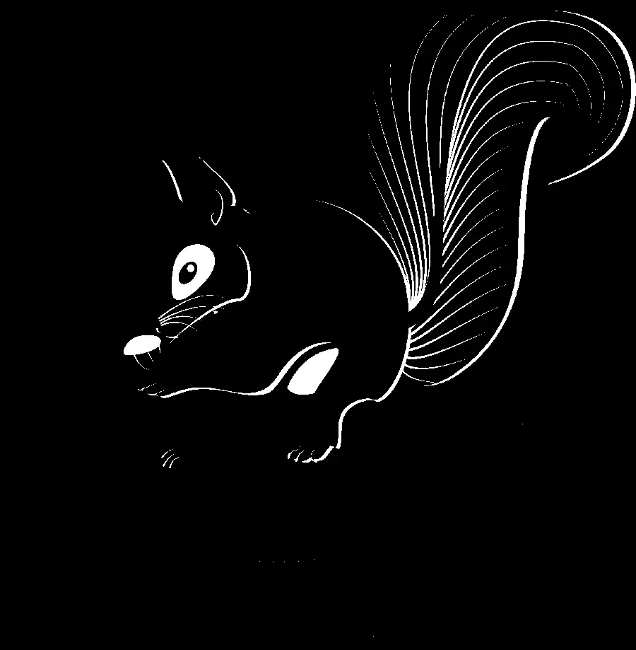 Download a black and white image of a cute squirrel wallpaper and profile