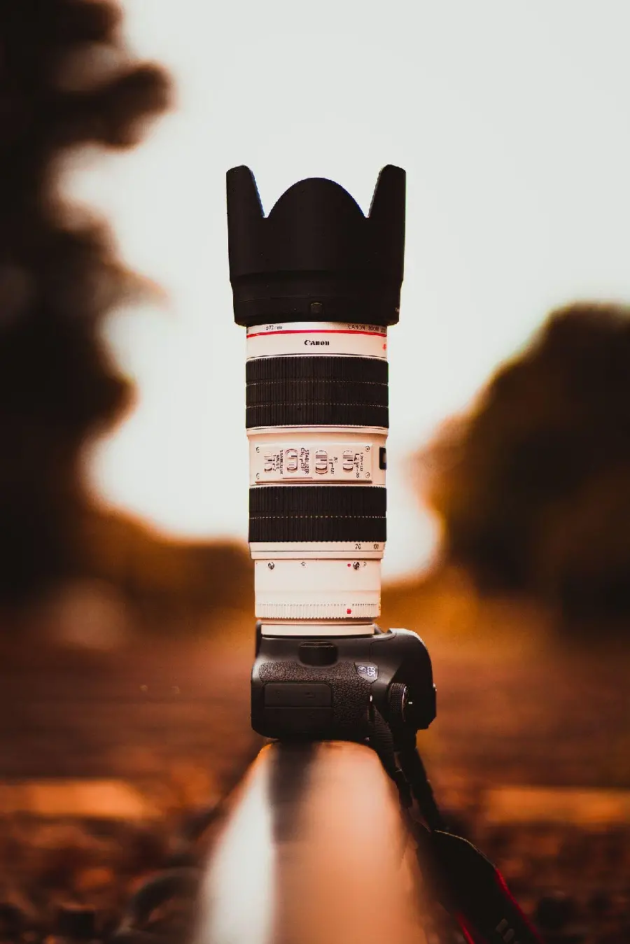 Modern Camera Profile Picture for Photography Enthusiasts
