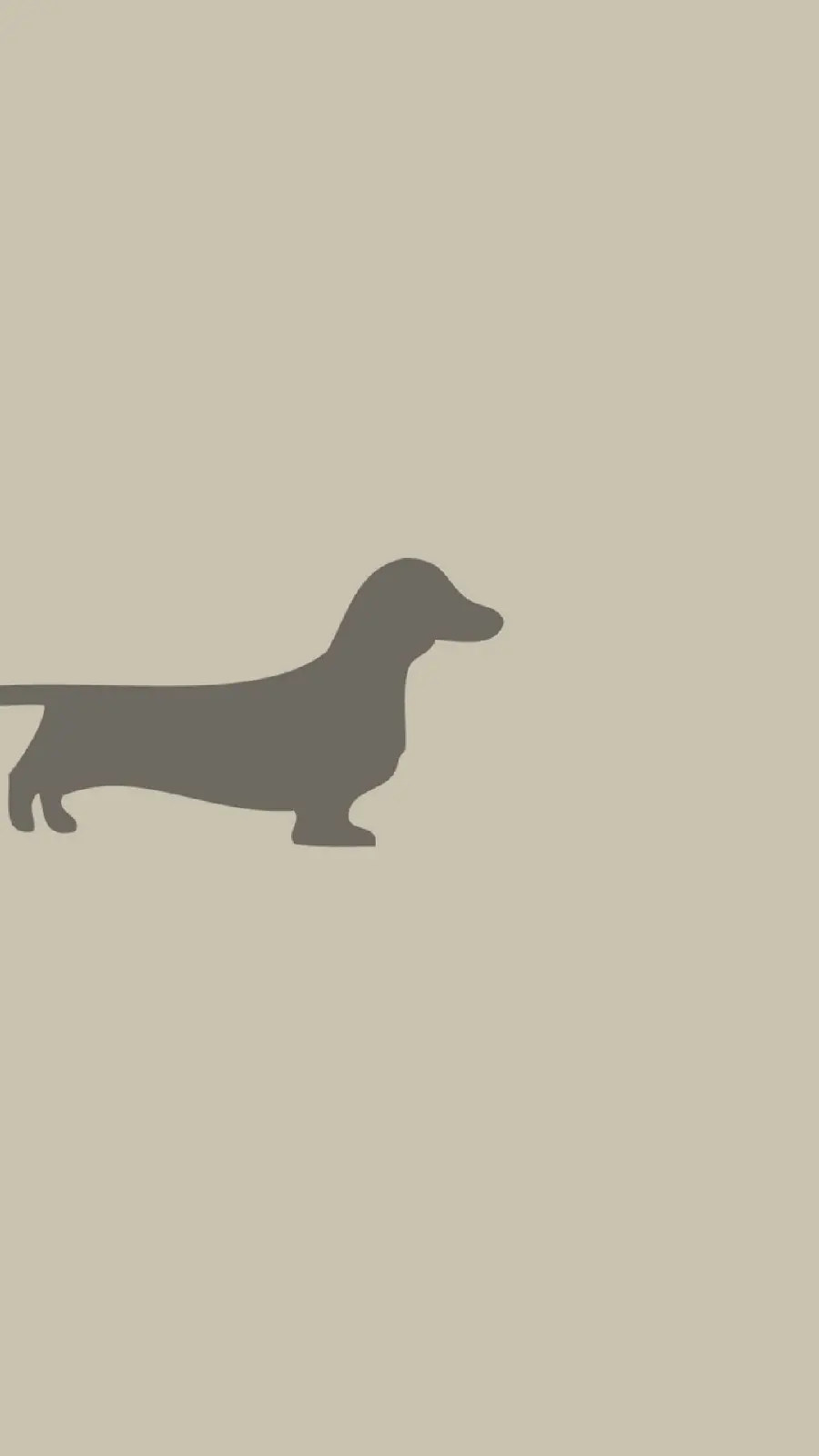 Minimalist Dog Stock Photo for Phone Backgrounds