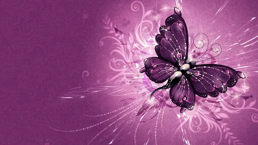 Purple butterfly background image with special quality 