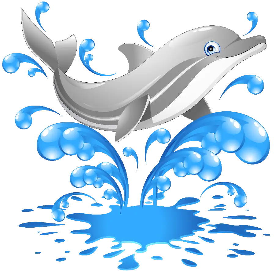 Dolphin in PNG format without background