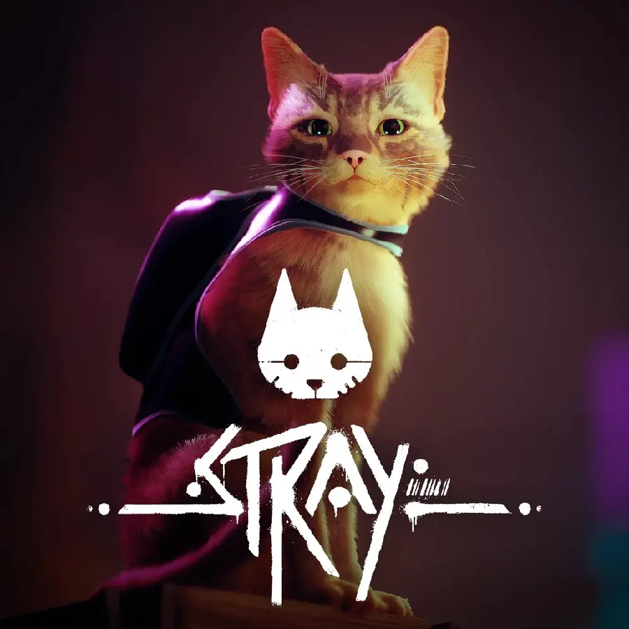Download high quality wallpaper from the game Stray or Stray