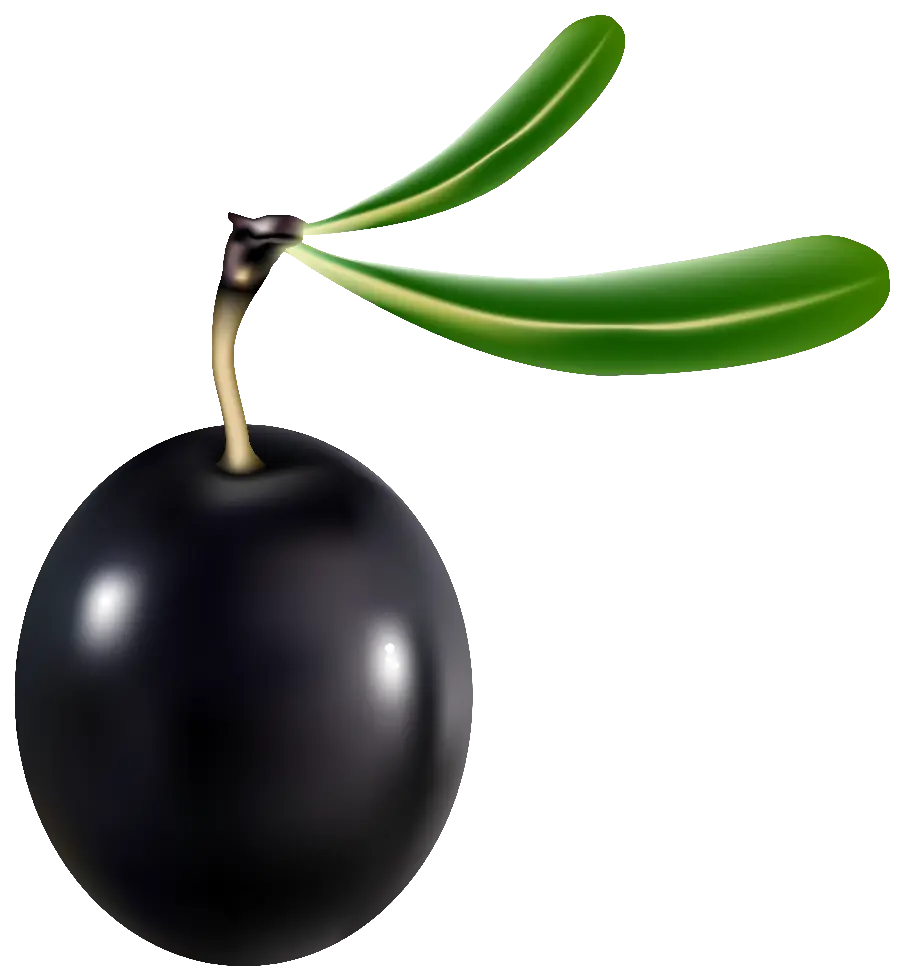 Download Black Olive PNG Images
