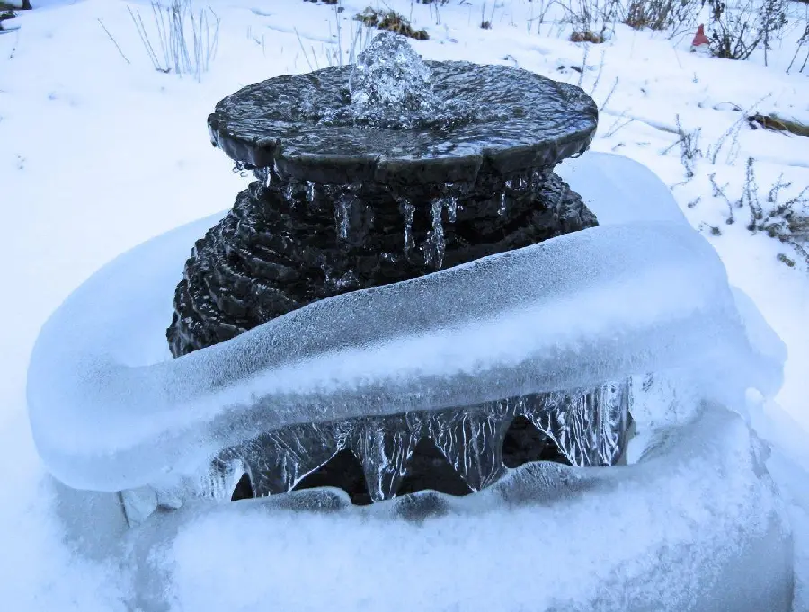 Ice Sculpture