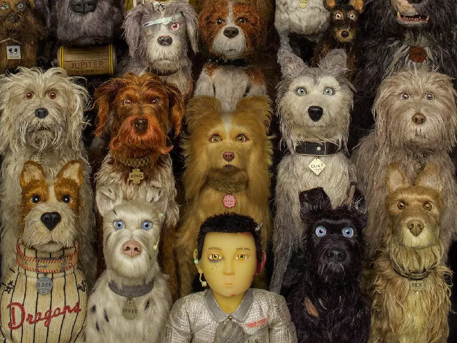 A suitable desktop background photo from the animation Isle of Dogs