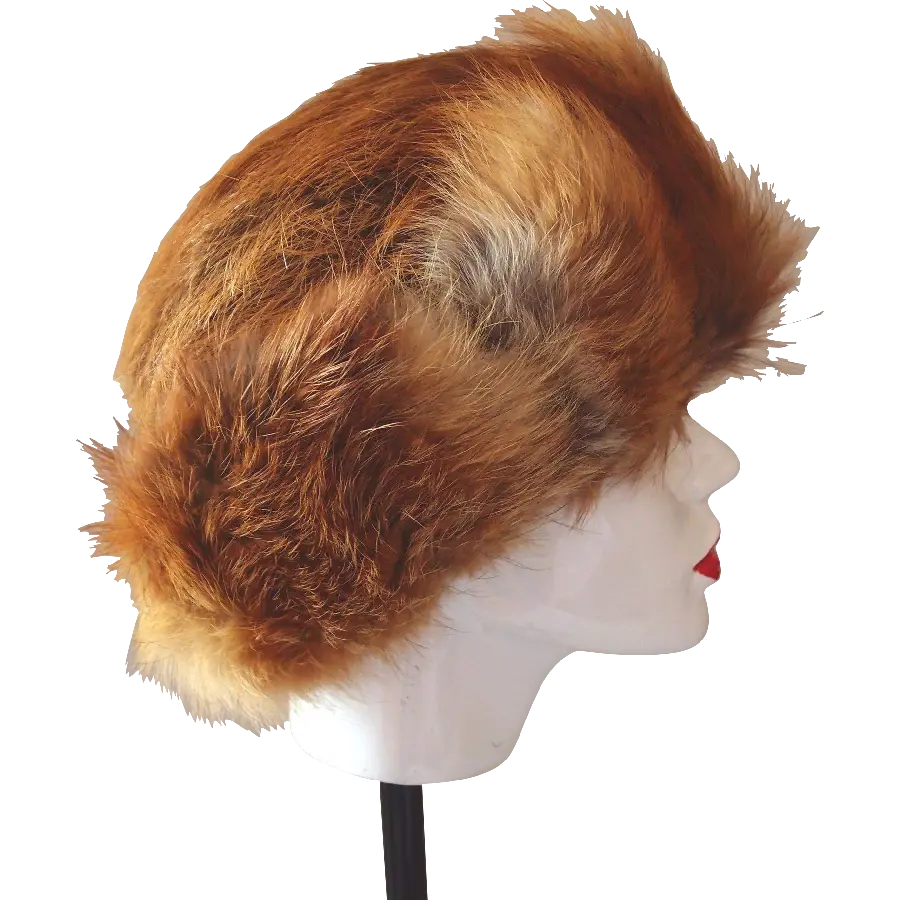 Download stylish background with a hat design made of fox