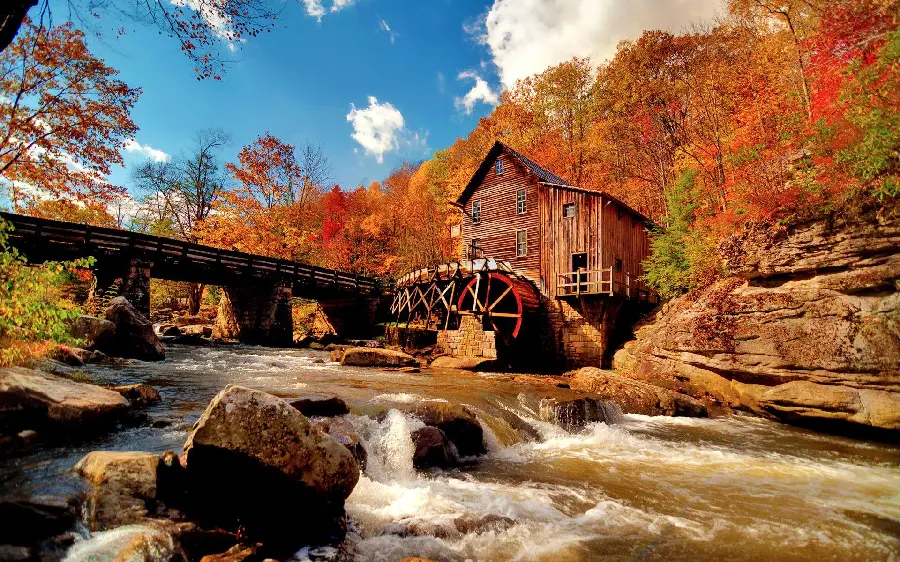 Autumn