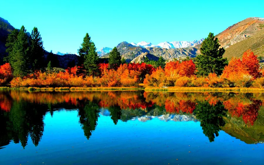 Lake and autumn image