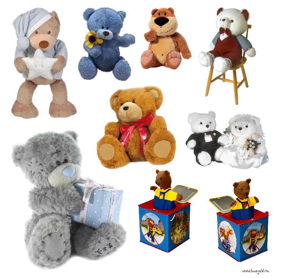 Free download of various bear photos with birthday theme in a frame in PNG format