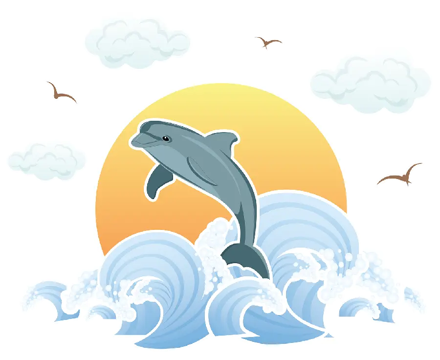 Dolphin