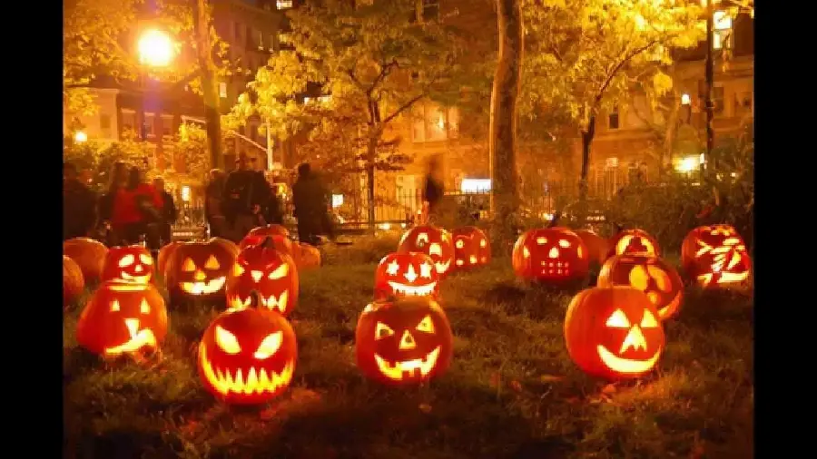 Pumpkin Design 2024