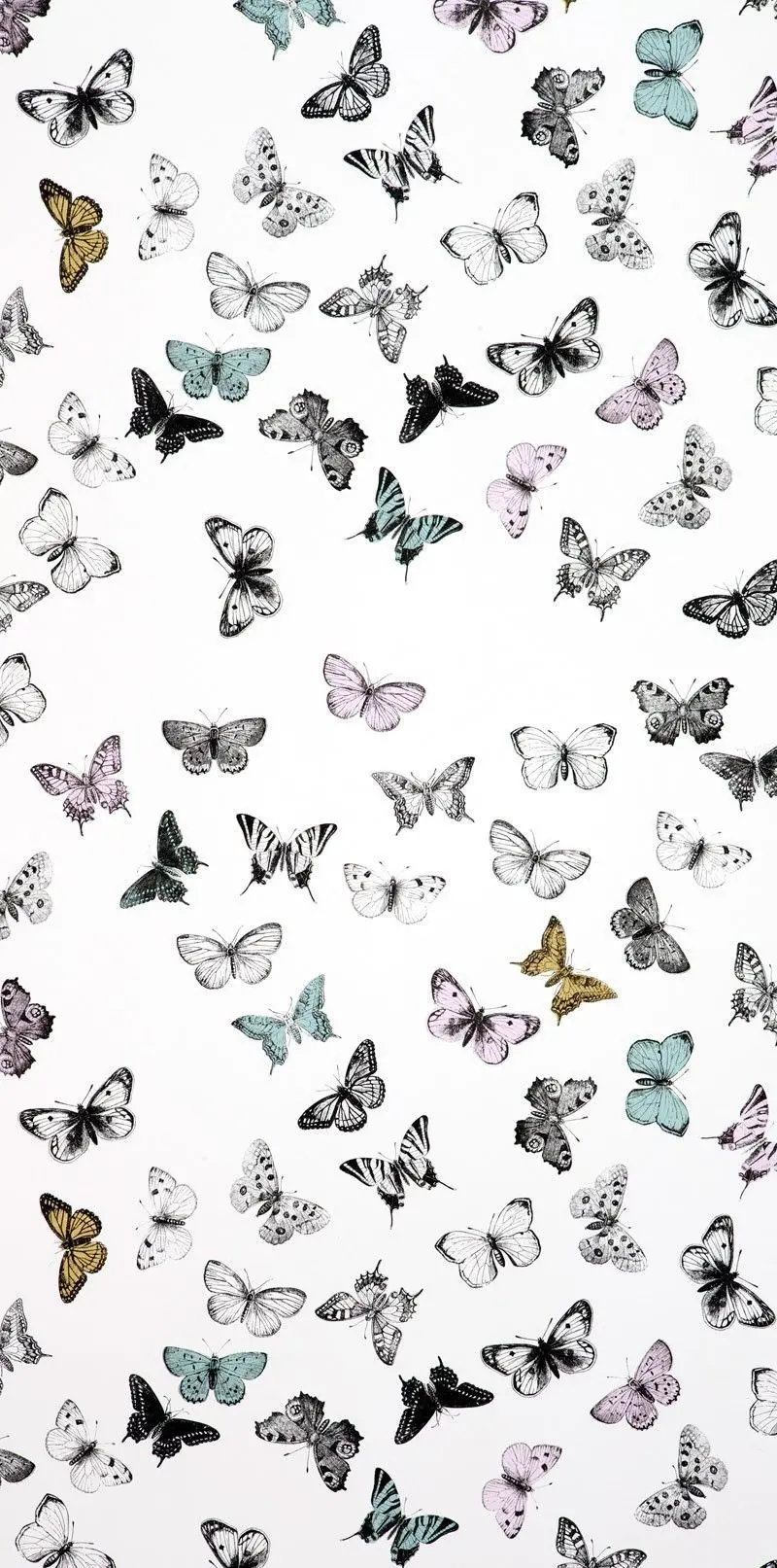 Stock image with a white background and bell-shaped butterflies for iPhone