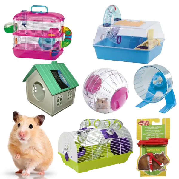 Download Cartoon Hamster PNG Images Without Hamster Cage Background