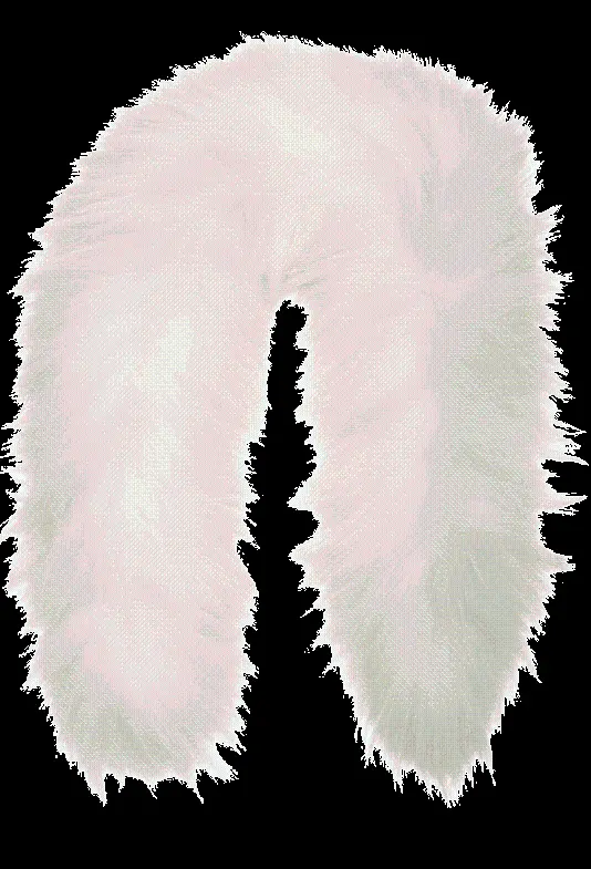 Attractive Fur Image of a Series of Clothing Made with Fox Fur and Tail