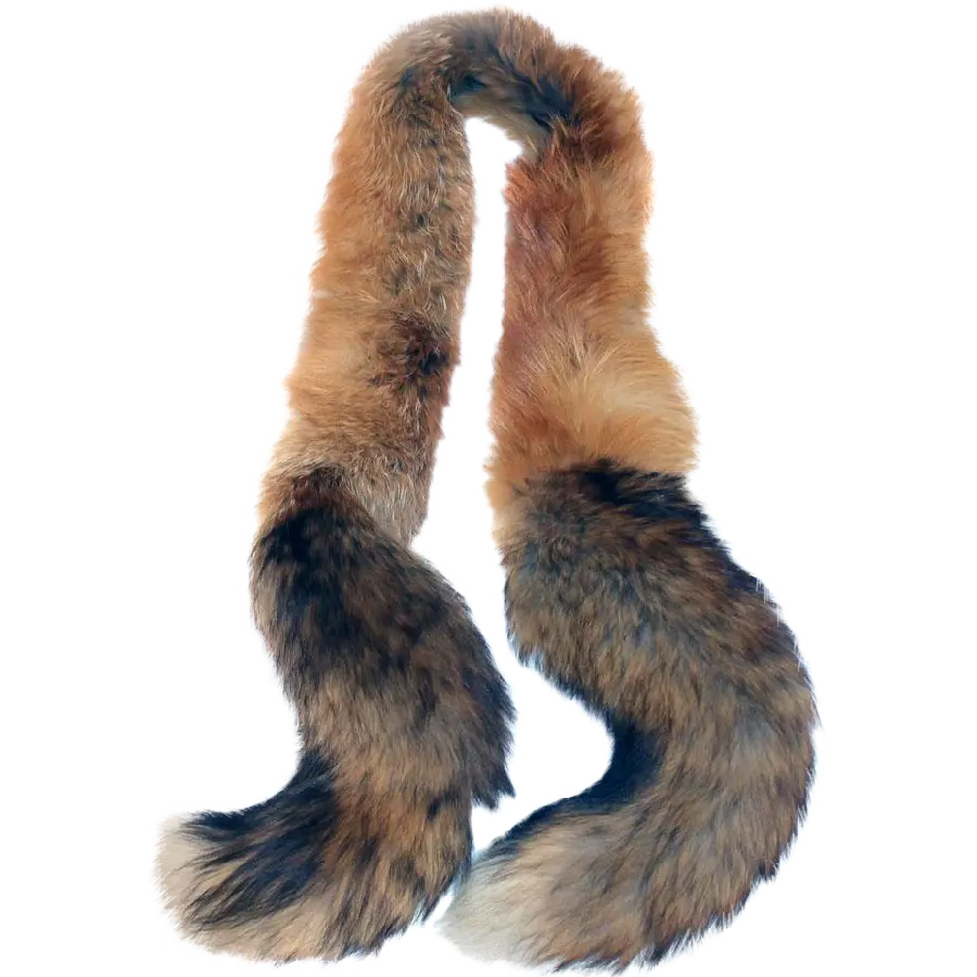 Free download of quality fox dress in the form of a scarf