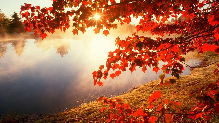 Beautiful sunsets in autumn