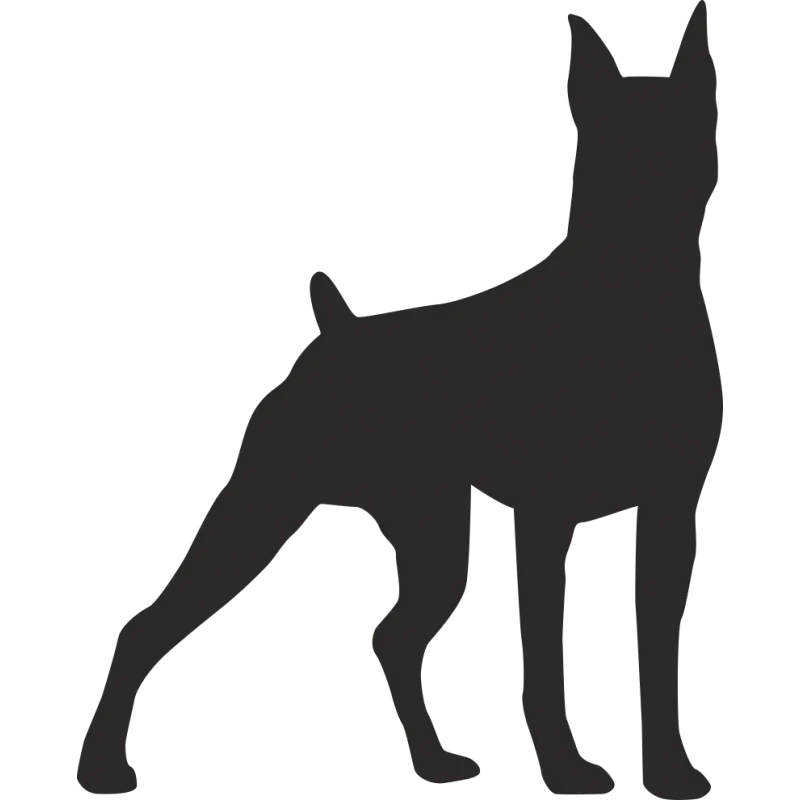 Download Black and White Dog Drawing Background PNG from Johor