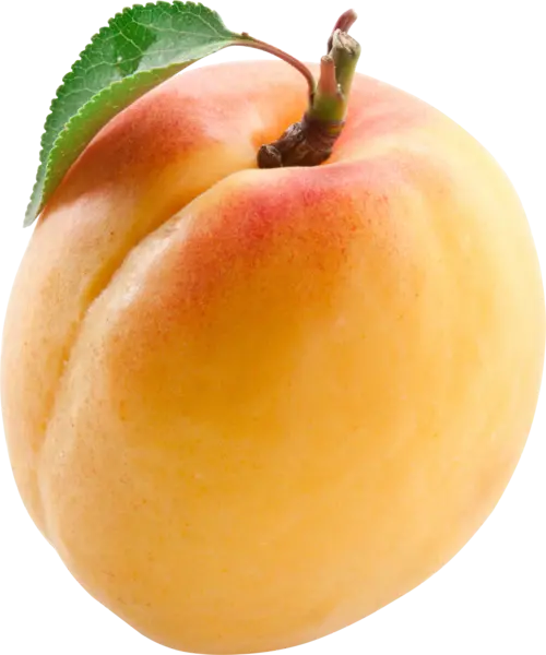 Download Free Apricot PNG Images for Advertising Banner Design