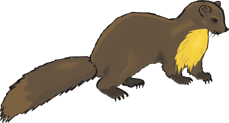 Stock Otter PNG Photo for Printing in Children's Storybook