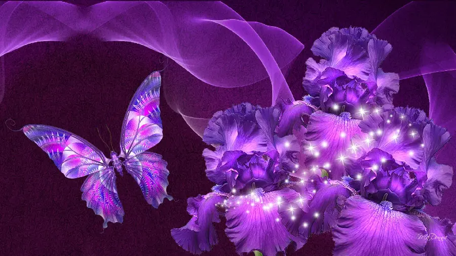 Purple Butterfly and Flower Computer Wallpaper