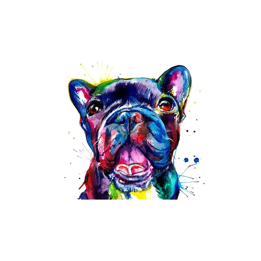 Colorful dog painting photo completely free and high quality