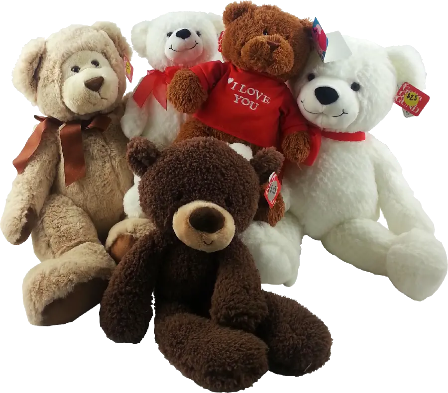 Googly teddy bear wallpaper without background in PNG format