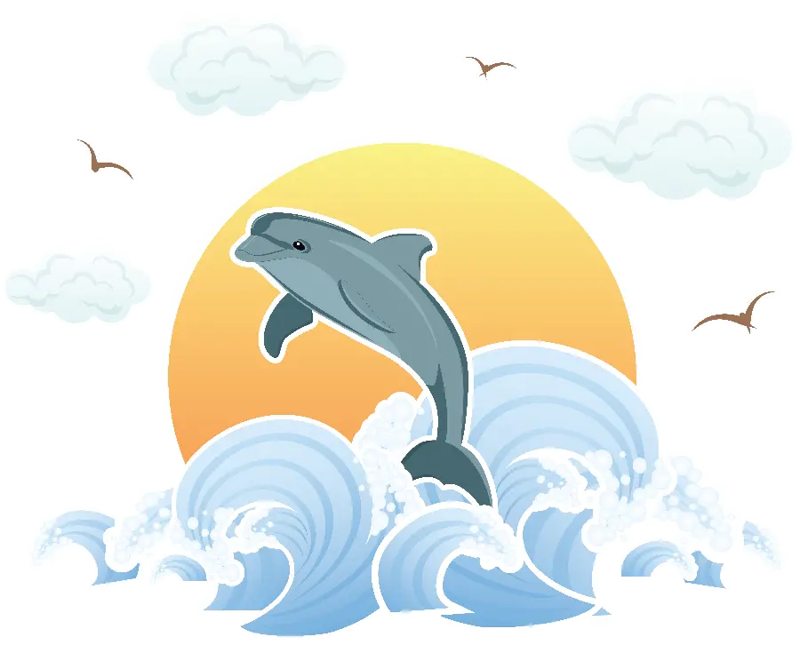 Dolphin Photo Without Background