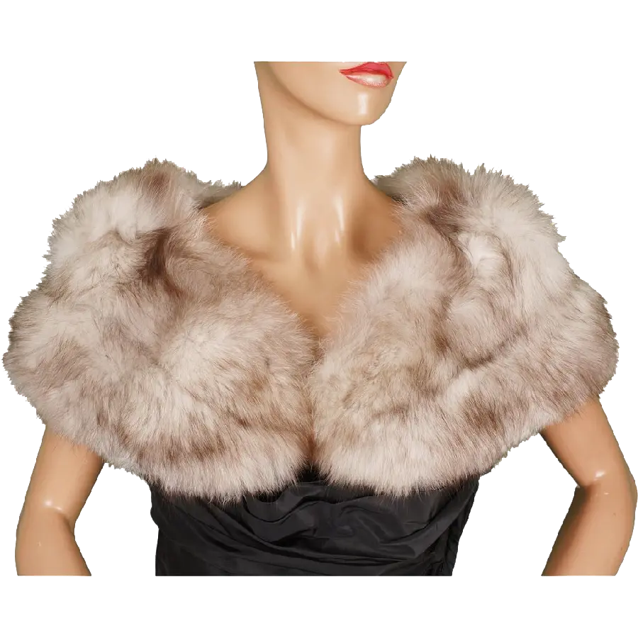 Download Fur Photo Designed from Otter Skin PNG