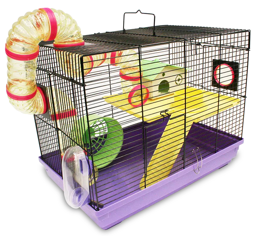 Hamster Cage Hamster PNG