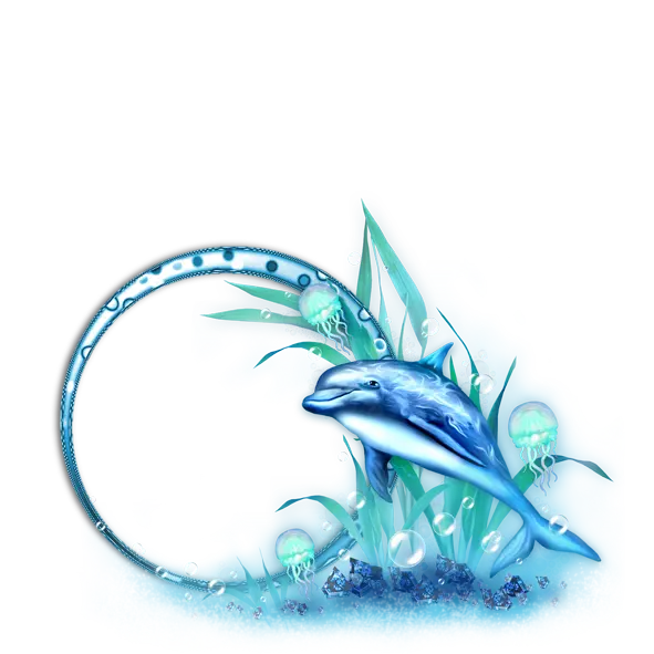 Dolphin