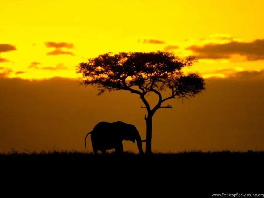 Attractive and different wallpaper of aMovie in a view of nature