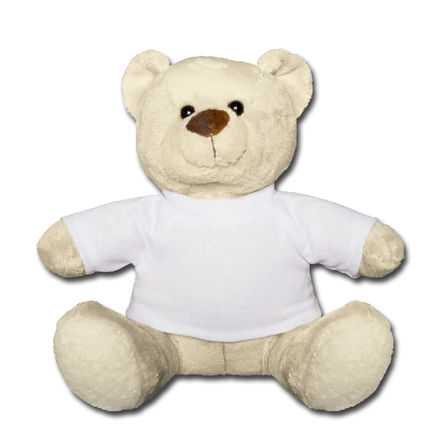 Download teddy bear background photo PNG with easy download