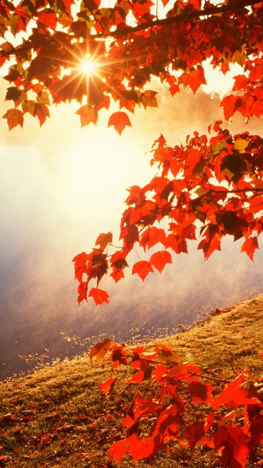 Download Autumn Wallpaper for Desktop in High Quality