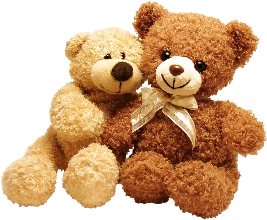 Tegram Couple Profile Photo Set of Teddy Bear PNG