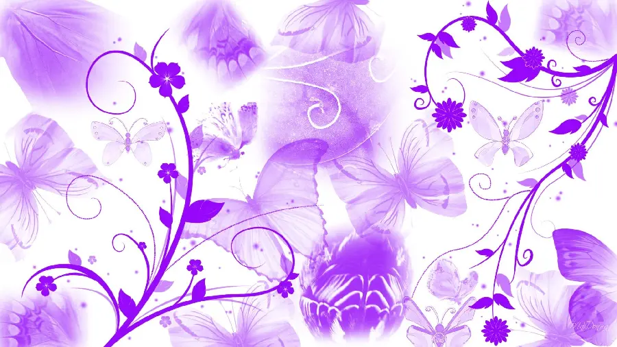 Inspiring Purple Butterfly Wallpaper Full Hd