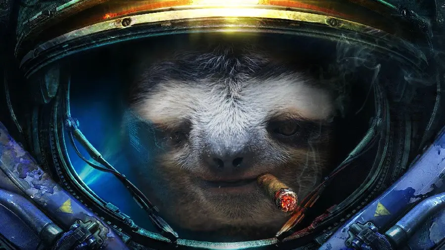 Sloth wallpaper for digital screens