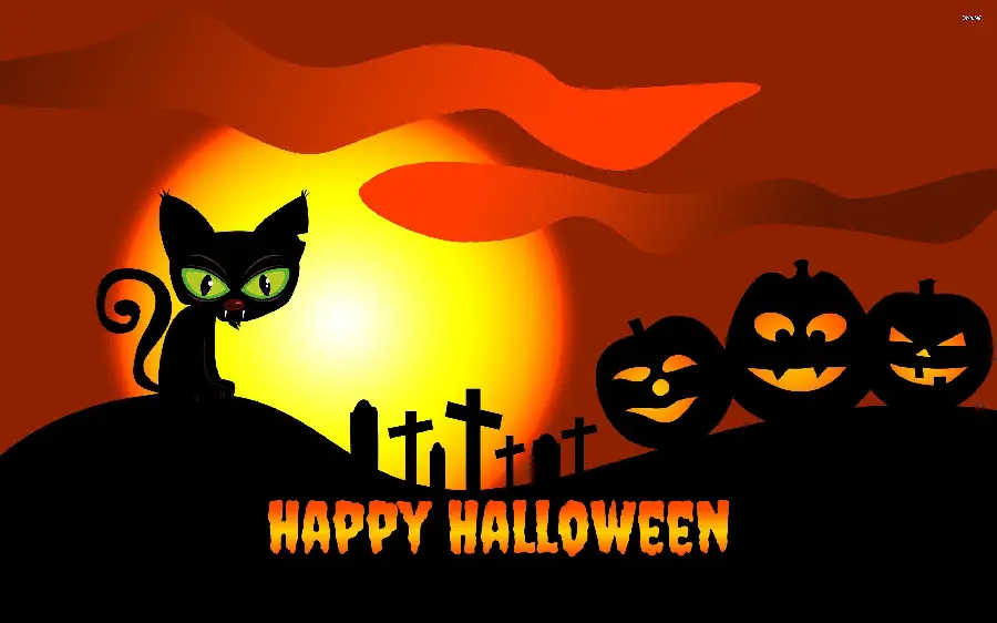 Halloween Black Cat