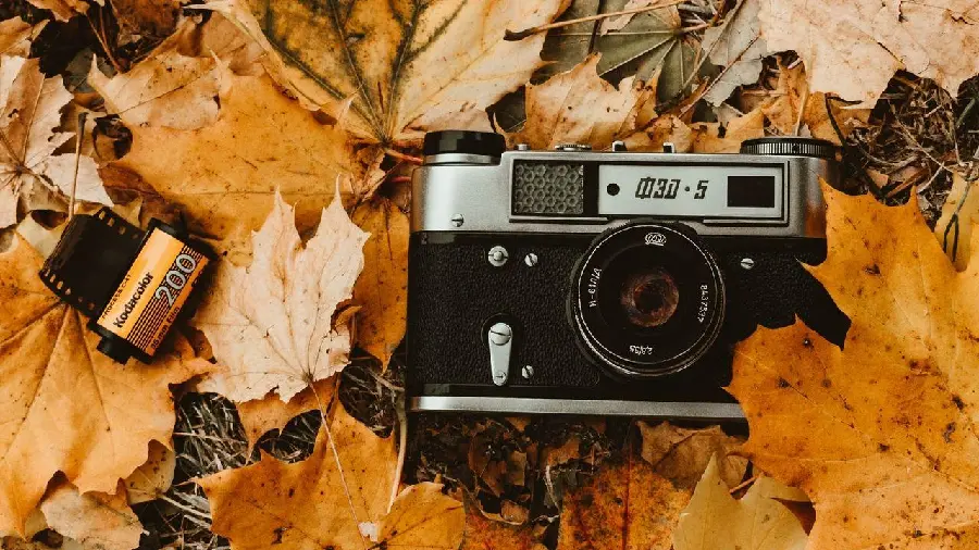 Analog Camera Profile with Creative Design