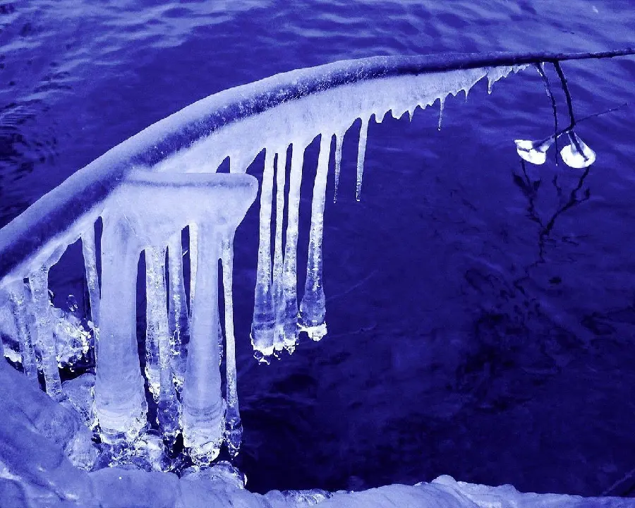 Ice Sculpture